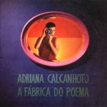 10_adriana_calcanhotto_a_fabrica_do_poema.jpg