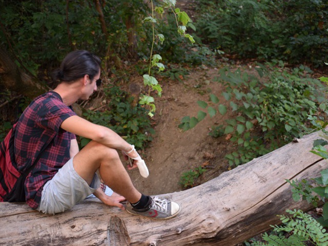 Magyarradar – Grafit