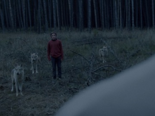 Érzések, amelyek az ismeretlen felé húznak – Klippremier! Paperdeer: Regularity