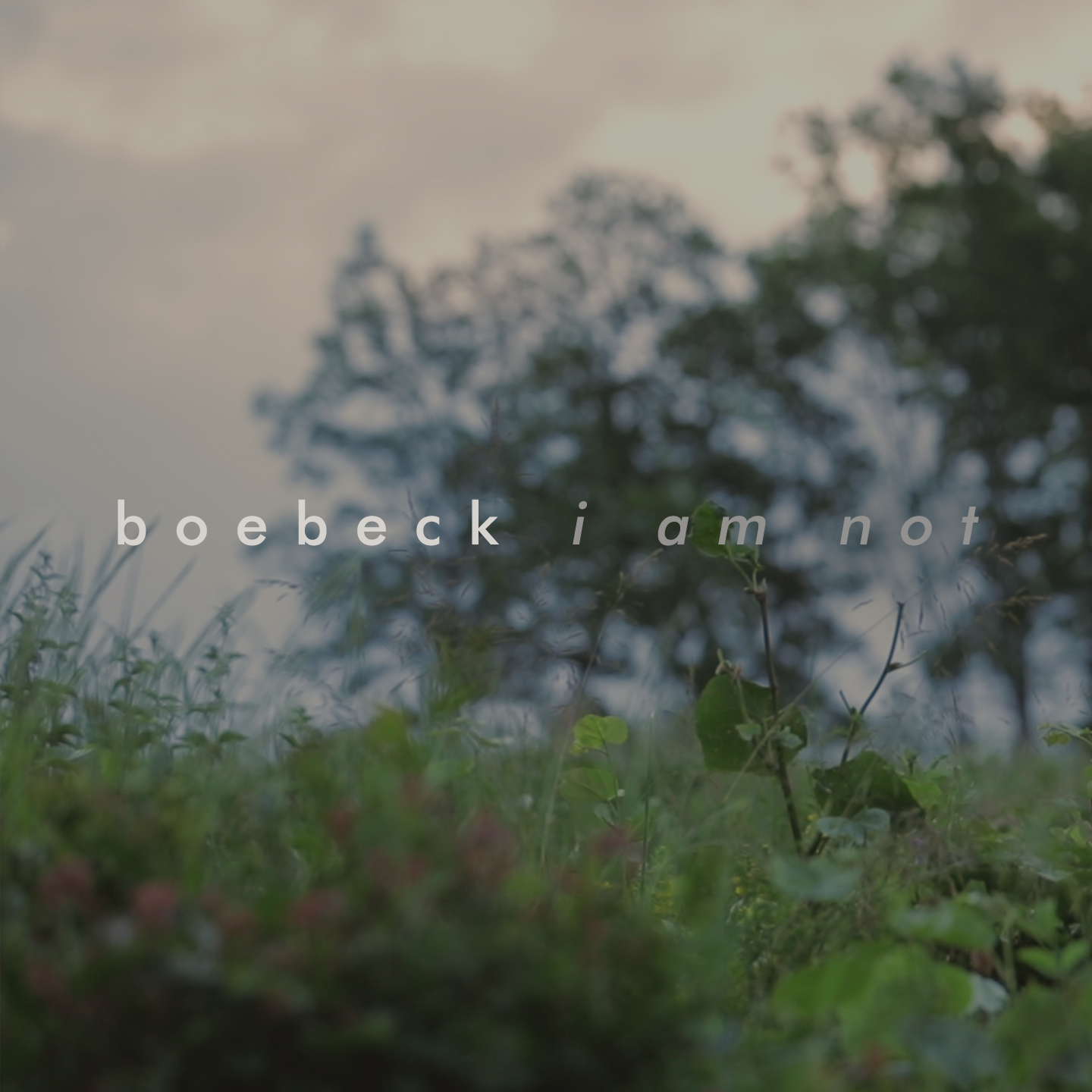 boeback_iamnot_single_cover_06_1.png