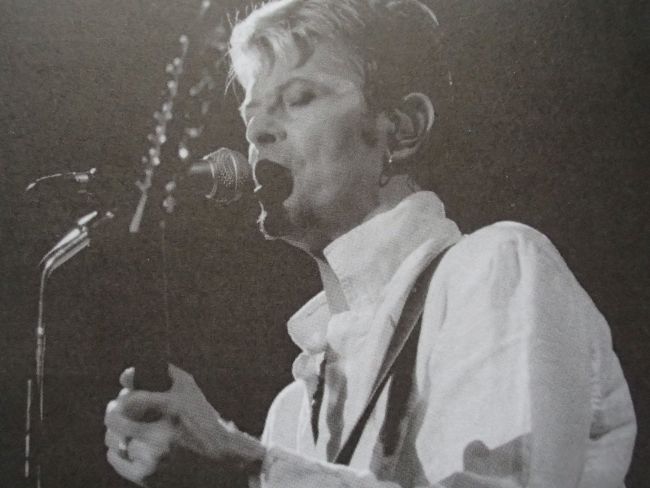 bowie_p1122430.jpg