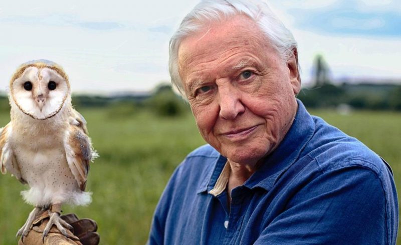 david_attenborough.jpg