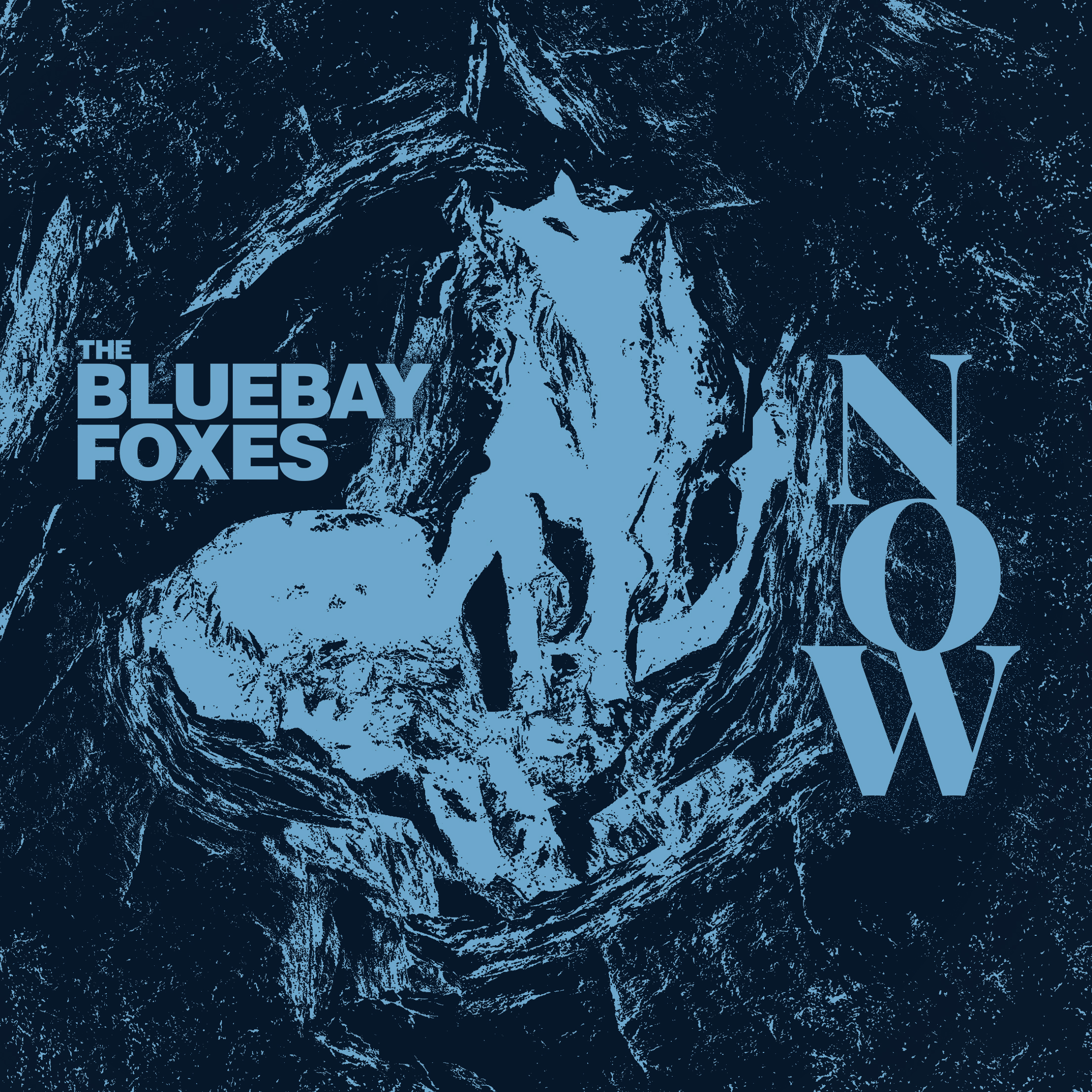 the_bluebay_foxes-now-borito.jpg