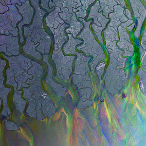 Alt-J_-_An_Awesome_Wave.png