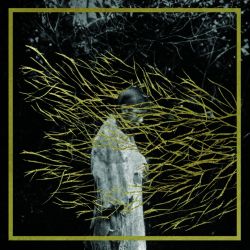 Forest-Swords-Engravings-940x940.jpg