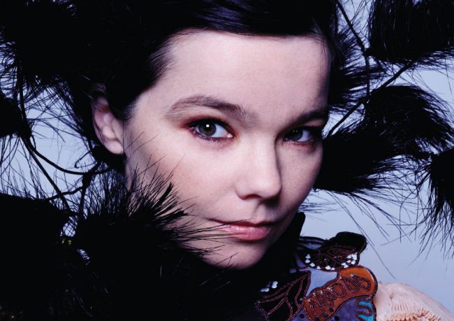 bjork.jpg