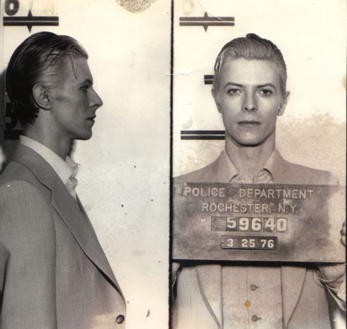 bowie 1976.jpg