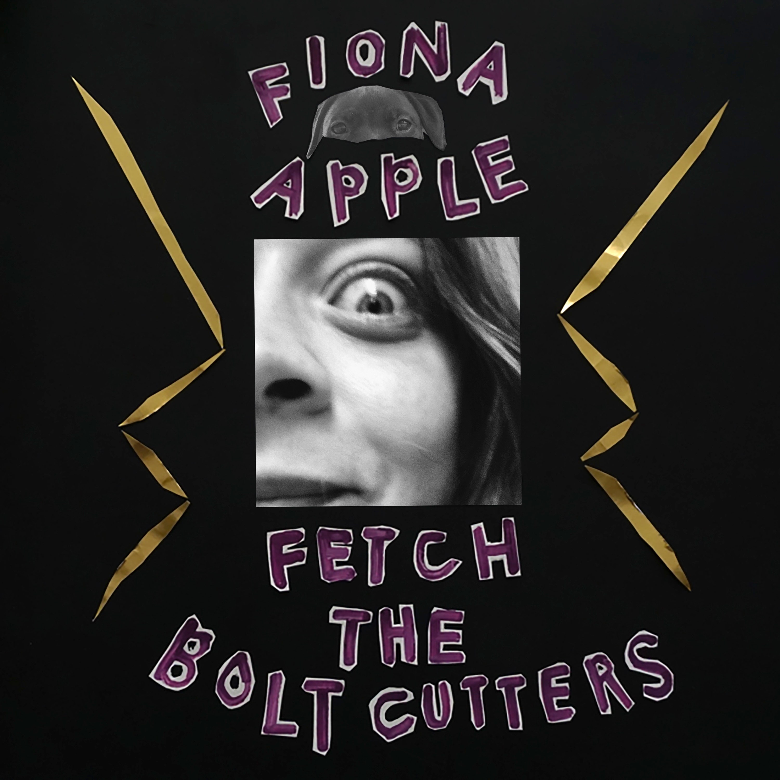 fiona_apple_fetch_the_bolt_cutters.jpg
