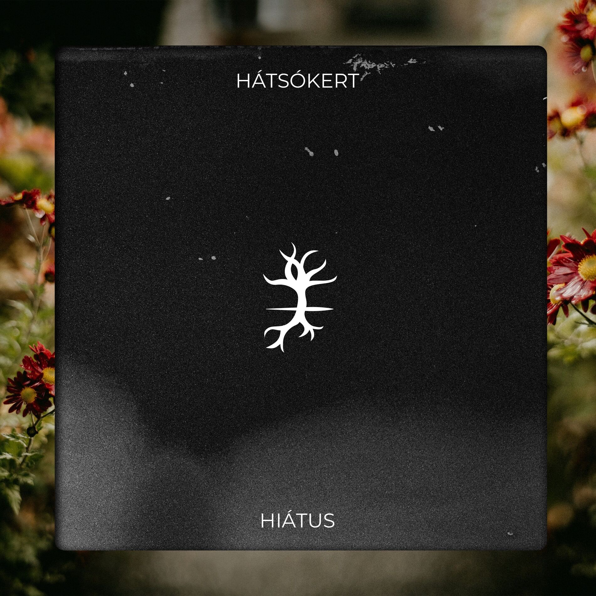 hatsokert.jpg