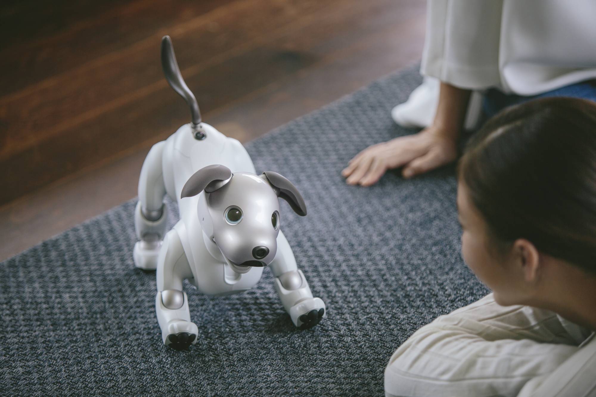 new-sony-aibo-dog-e1535062810168.jpg