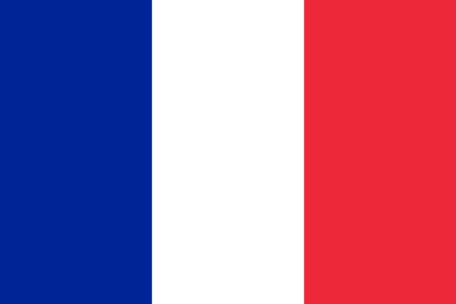 flag_of_france_svg.jpg