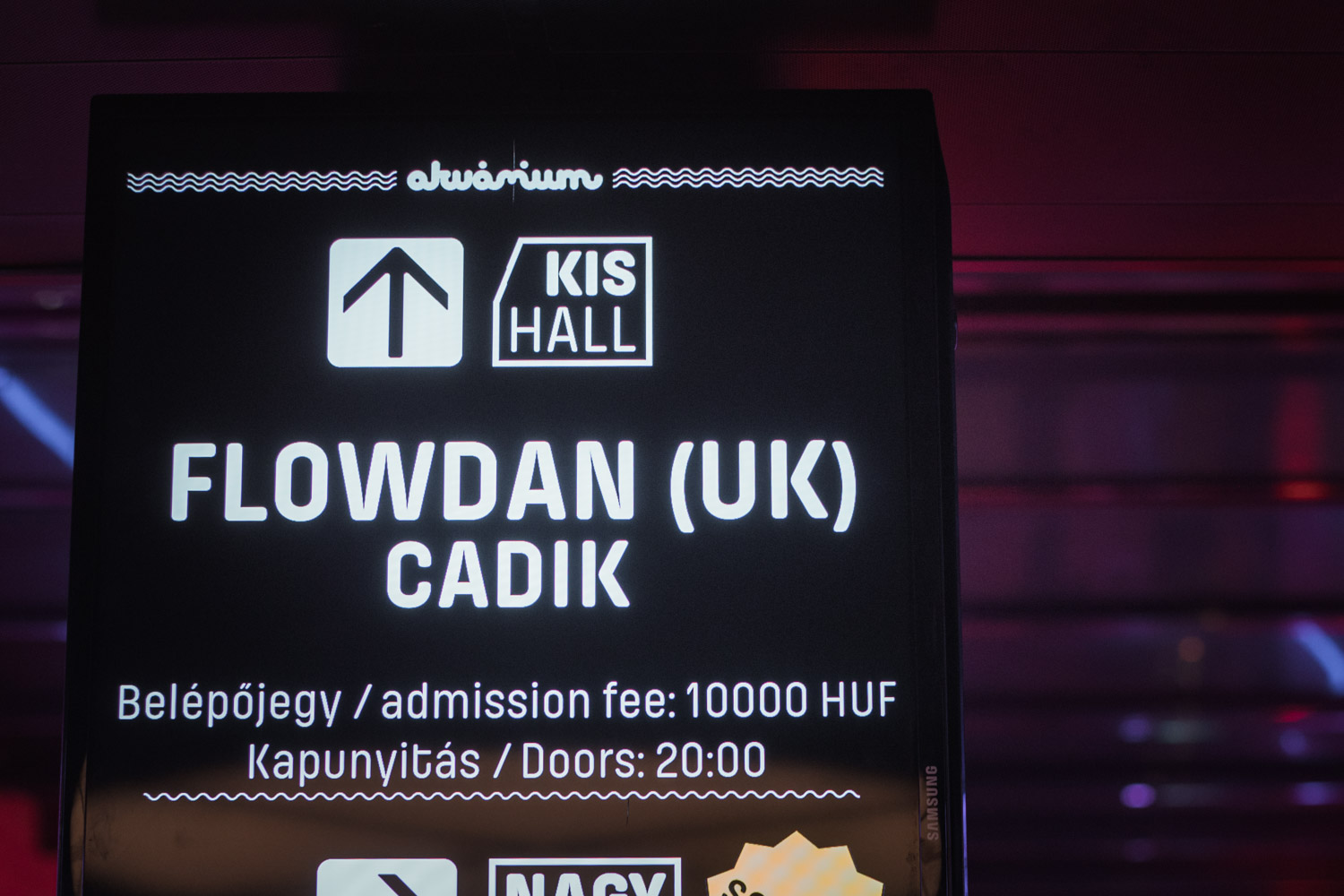 flowdan2026_01.jpg