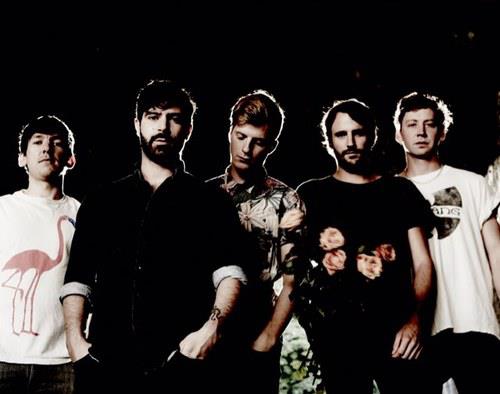 foals_1.jpg