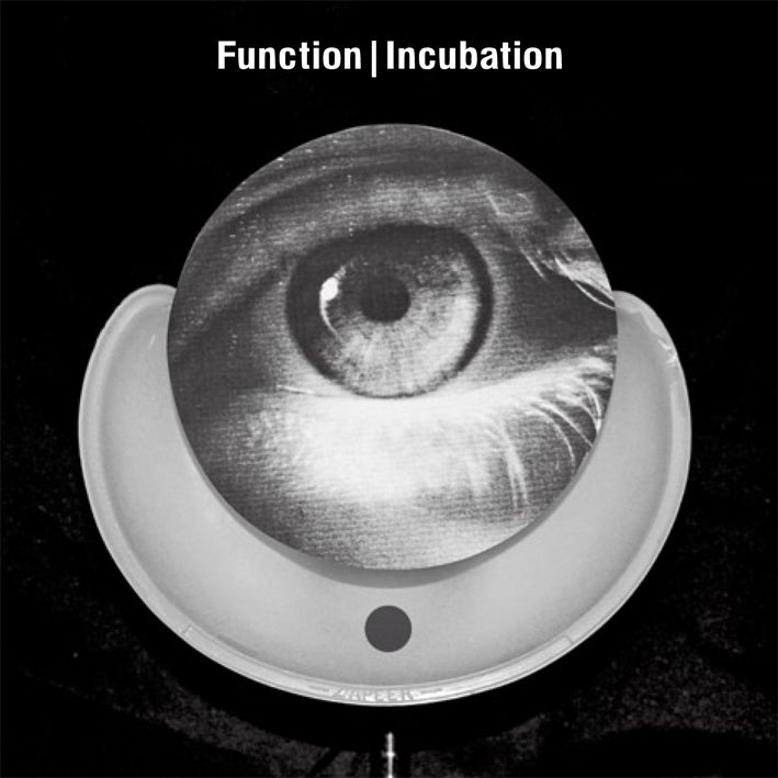 function-incubation.jpg