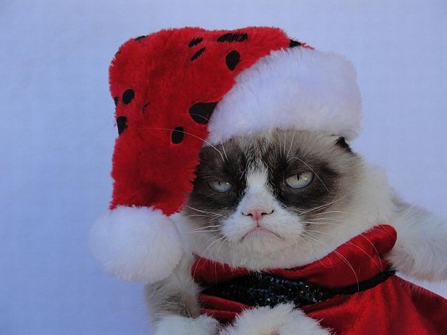 grumpychristmas.jpg