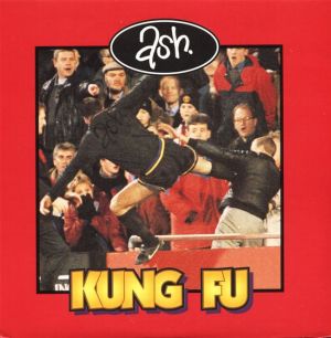 kung fu-foci - ash_1.jpg