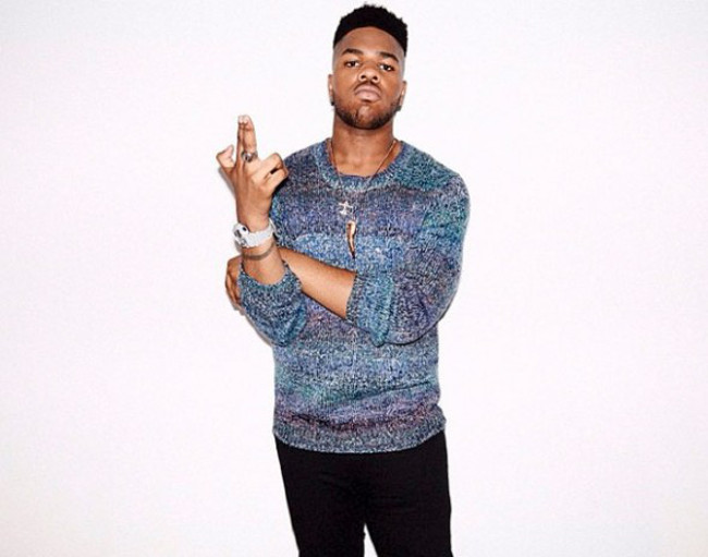 mnek-2013-3-590x464.jpg