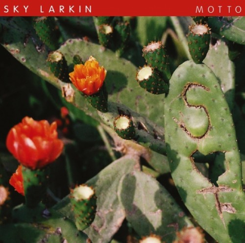 sky_larkin_motto_album-500x496.jpg