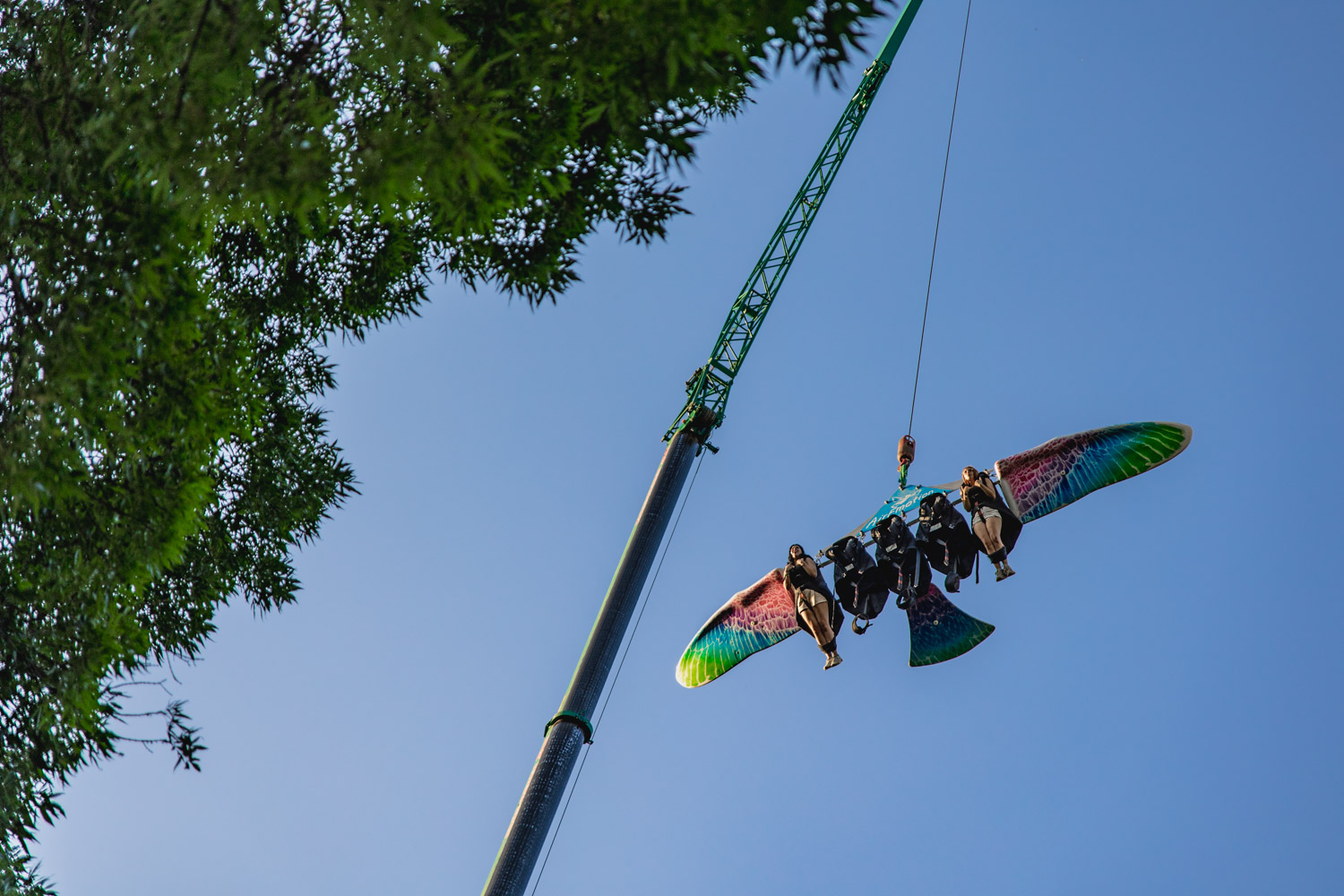 sziget2024_048.jpg