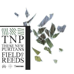 tnp field of reeds.jpg