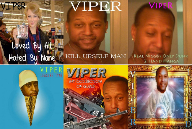 viperalbums2.jpg