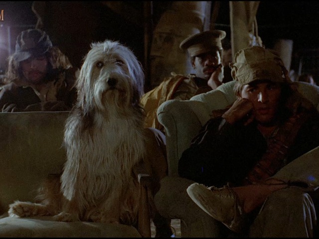 A fiú és a kutyája (1975) – írta Alfonz