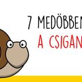 7 megdöbbentő tény a csiganyálról