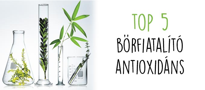 top_5_borfiatalito_antioxidans.jpg