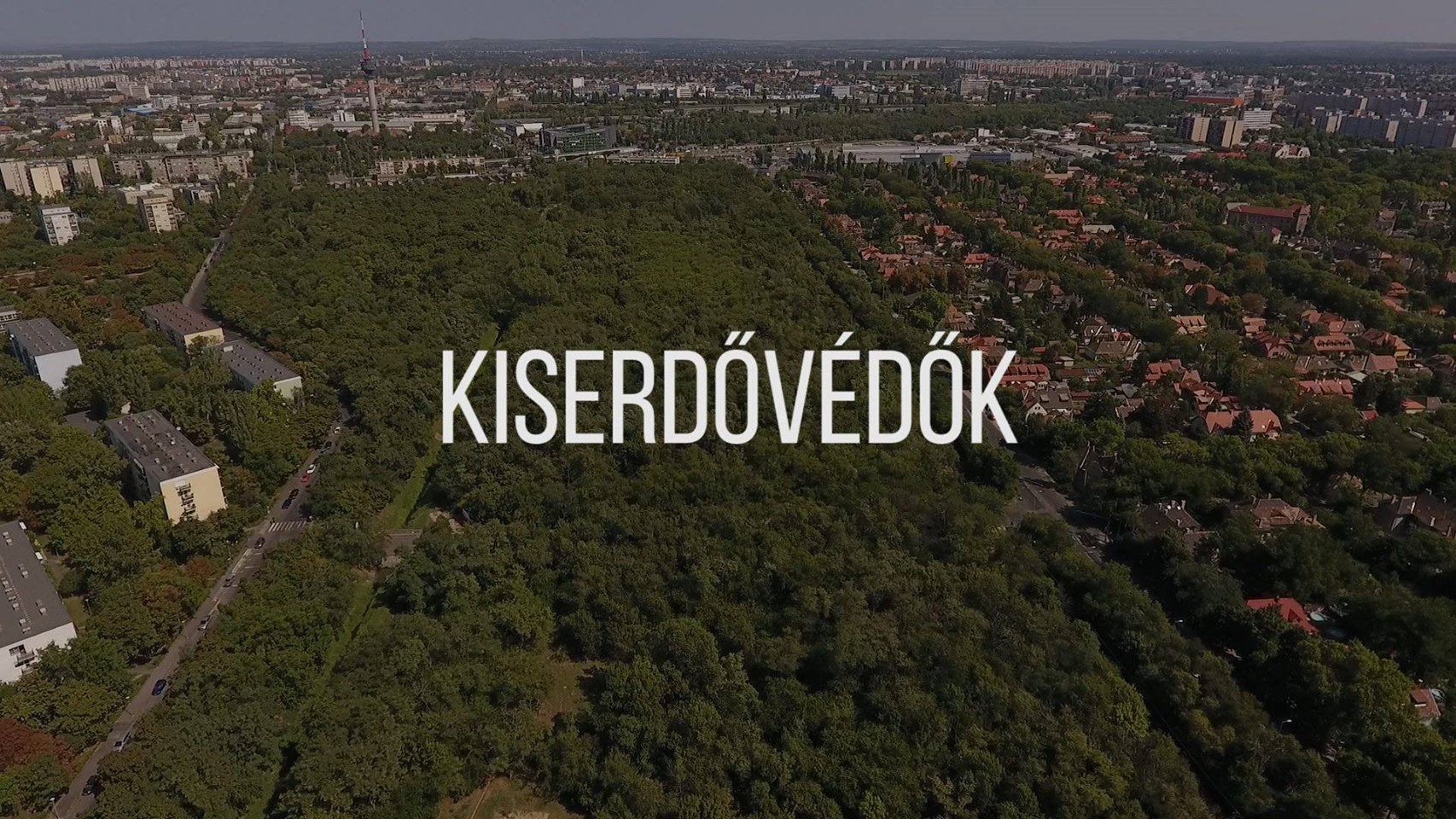 kiserdovedok.jpg