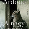 Ardone: A nagy csoda