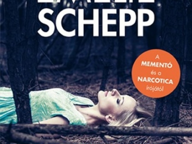 Schepp: Post Mortem