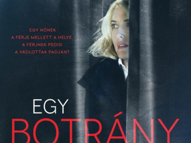 Vaughan: Egy botrány természetrajza
