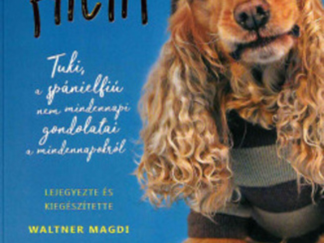 Waltner: Tukorfalat
