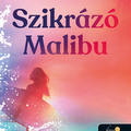 Jenkins Reid: Szikrázó Malibu