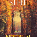 Steel: Erkölcsi iránytű