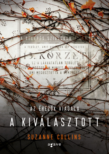 5_6a_kivalasztott.jpg