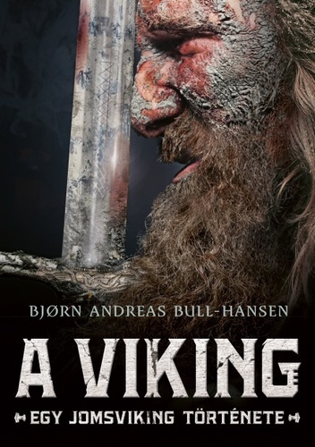 a_viking.jpg