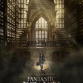 Legendás állatok és megfigyelésük (film)