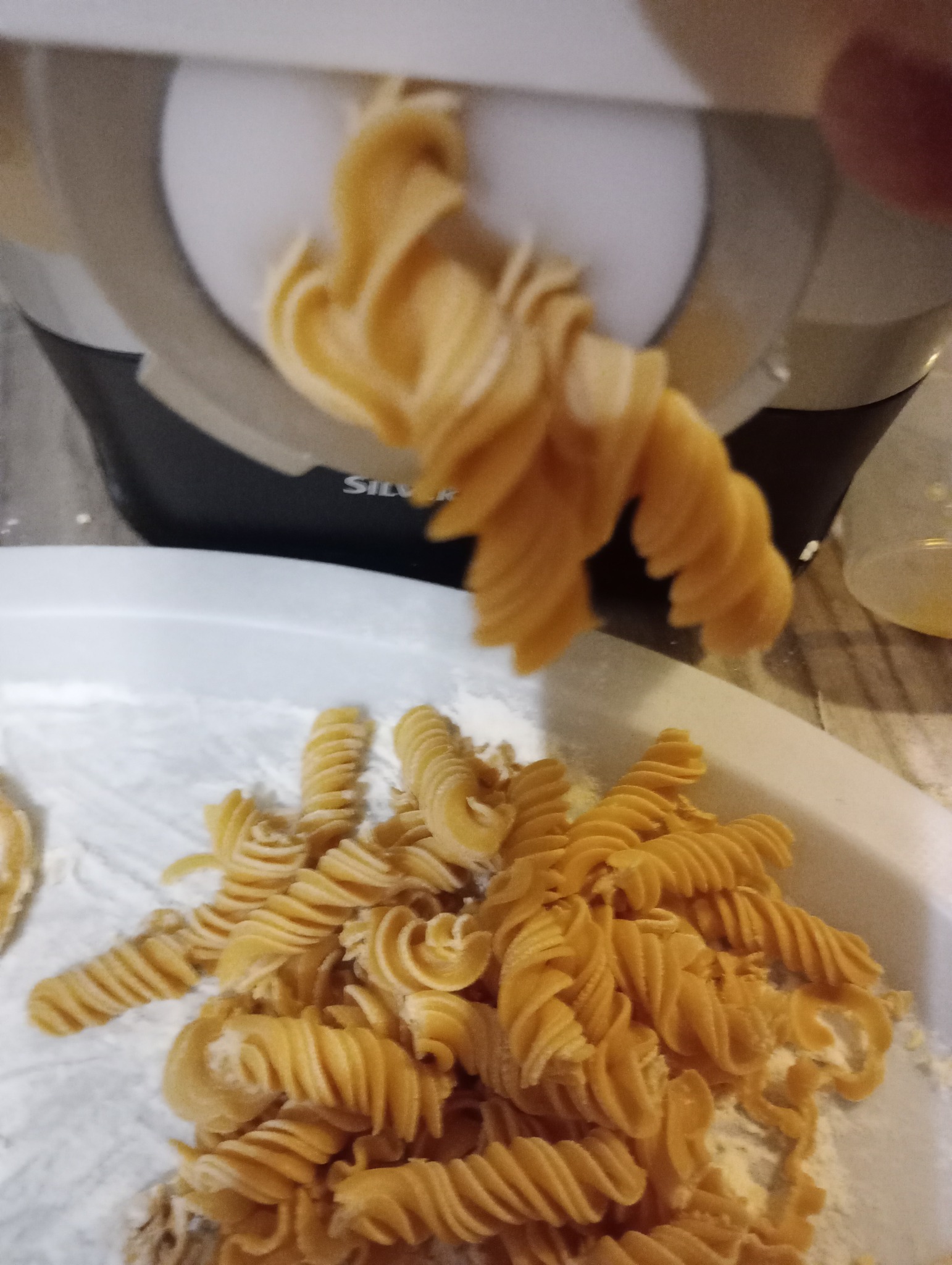 506054252_10223275739280702_3013620811956810156_n.jpg