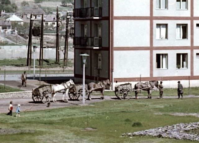 06_kordelyos_kocsik_1960.jpg