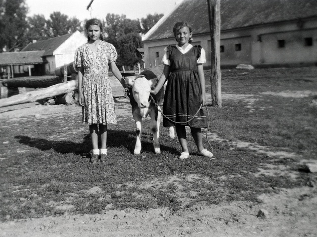 Itatóvályúban fürödtünk nagymama portáján