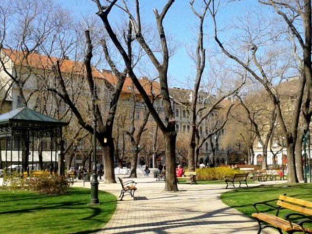 Tavaszi csámborgás a terézvárosi Hunyadi téren