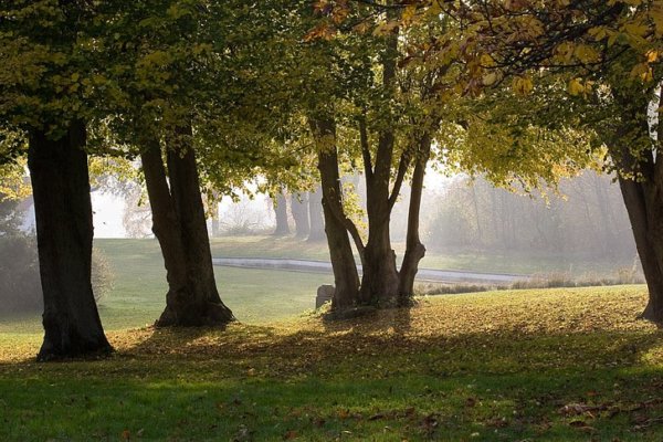 autumn-lens-trees-park-preview-600x400.jpg