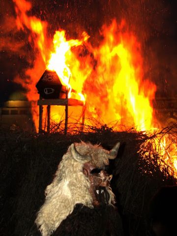 koporsoegetes.jpg