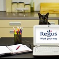 Regus iroda szimbólum: a fekete macska