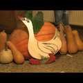Hét Halász Krónikája - 2016-11-16