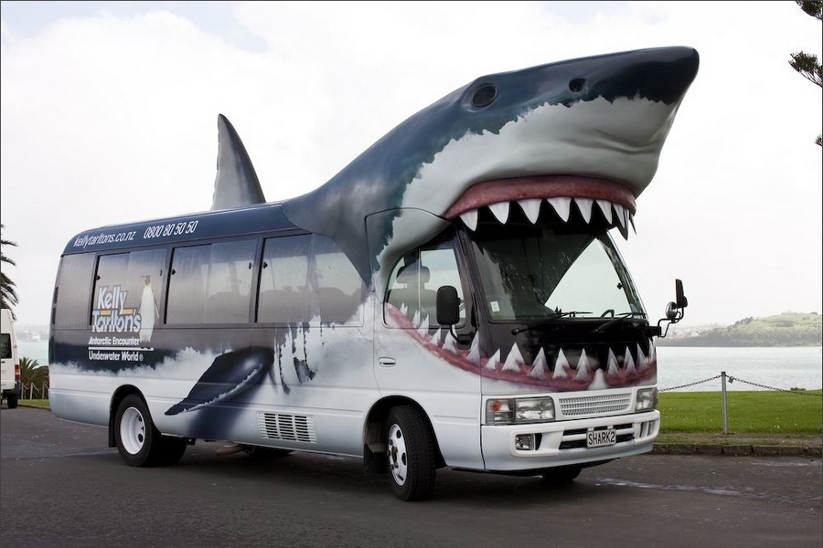 shark_bus.jpg