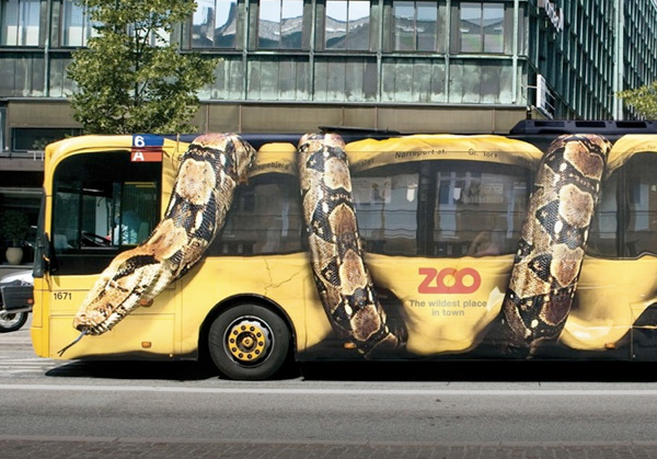 zoobus.jpg