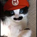 Szuper  Mario