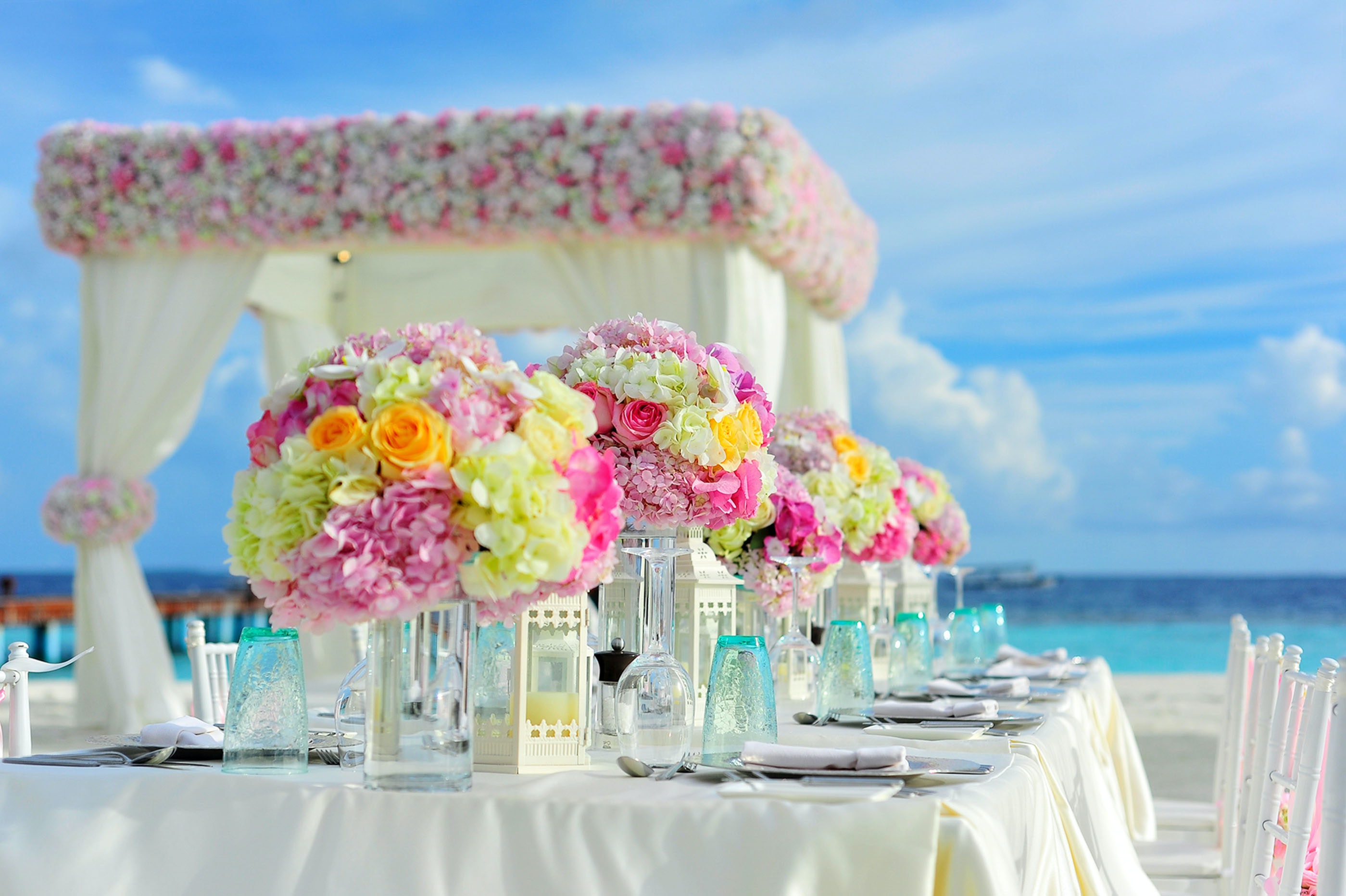 yellow-and-pink-petaled-flowers-on-table-near-ocean-under-169193.jpg